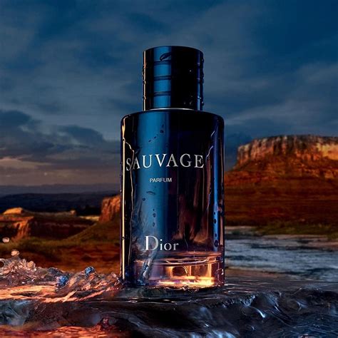 which is the best dior sauvage to buy|dior sauvage cheapest.